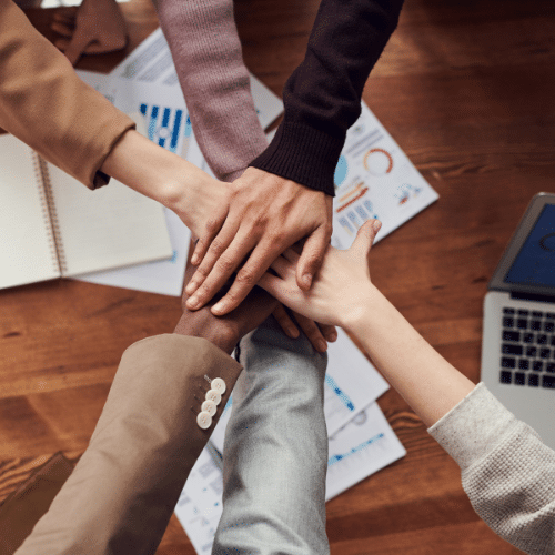 logistics services PT FDS +6281212166587